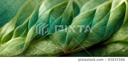 Spectacular green leaf with realistic texture reveal. Digital 3D illustration. Spectacular green leaf with realistic texture reveal. Digital 3D illustration. 93835566