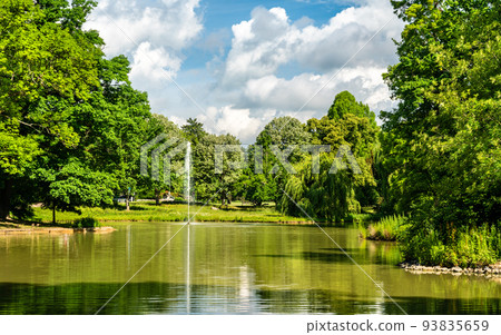 Swan Lake in Bad Homburg vor der Hoehe near Frankfurt, Germany Swan Lake in Bad Homburg vor der Hoehe near Frankfurt, Germany 93835659