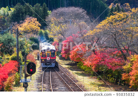 Watarase Keikoku Railway running through autumn leaves 3 93835832