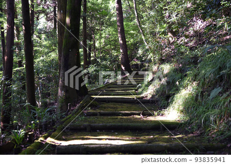 Enmeiji temple climbing stairs 93835941