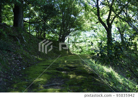 Mossy road in the mountains behind Enmeiji Temple in summer Mossy road in the mountains behind Enmeiji Temple in summer 93835942
