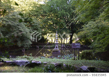 Lotus pond behind Enmeiji Temple 93835945