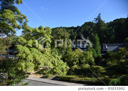 夏天的圓明寺,藍天綠樹 夏天的圓明寺,藍天綠樹 93835992