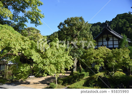 Enmeiji temple in summer, green trees and blue sky Enmeiji temple in summer, green trees and blue sky 93835993