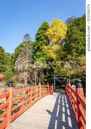 Kandake Shrine and the surrounding autumn leaves Kandake Shrine and the surrounding autumn leaves 93836074