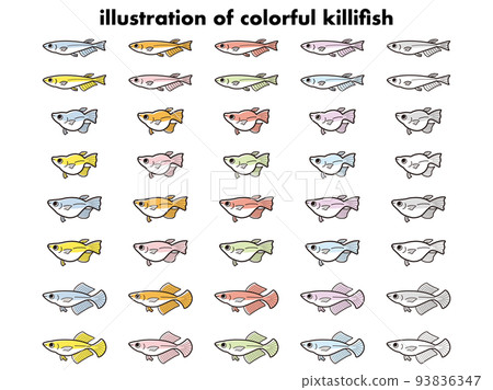 Illustration set of various kinds of colorful medaka Illustration set of various kinds of colorful medaka 93836347