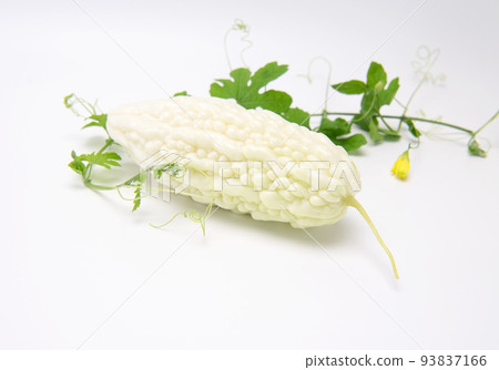 Fresh bitter gourd or bitter melon with leaves isolated on white background.copy space. 93837166