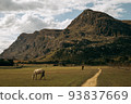 Trail and fences leading into a mountain with a blue cloudy sky. 93837669