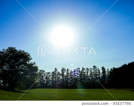 天空和太陽和綠色 天空和太陽和綠色 93837798