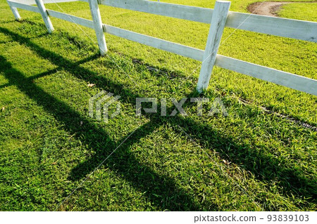 Green grass and white fence (ranch style) Green grass and white fence (ranch style) 93839103