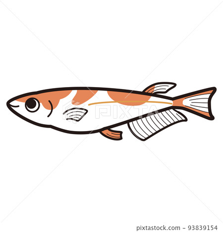 紅色和白色鱂魚的插圖 紅色和白色鱂魚的插圖 93839154