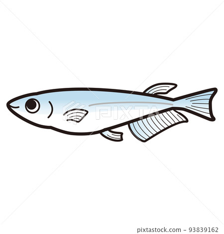 藍色鱂魚的插圖 藍色鱂魚的插圖 93839162