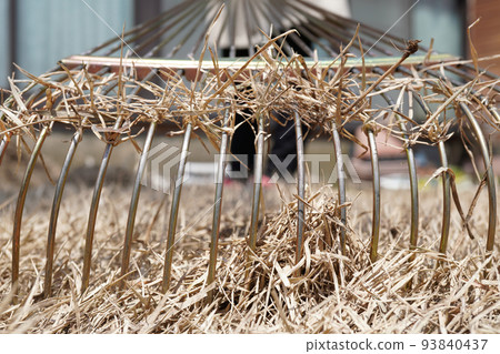 草坪茅草 08 93840437