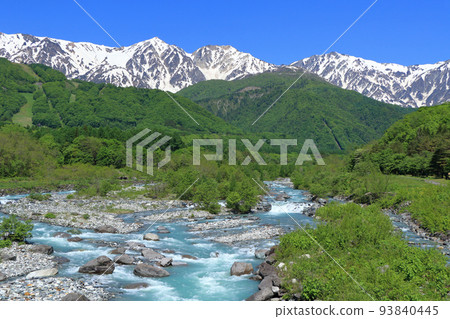 信州白馬五月白馬三山與新鮮的綠色和殘雪 93840445