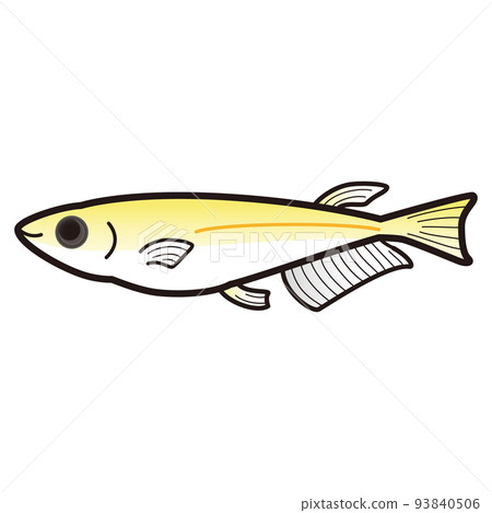 Illustration of a yellow panda 93840506