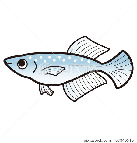 蹩腳的藍光鱂魚的插圖 蹩腳的藍光鱂魚的插圖 93840510