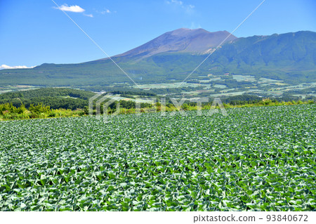 A view of Mt. Asama from Tsumagoi Village (Tsumagoi Village, Gunma Prefecture) [August 2022] 93840672