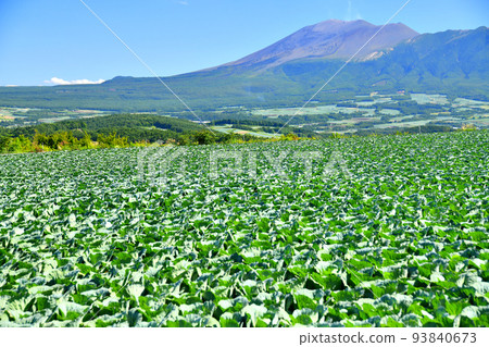 A view of Mt. Asama from Tsumagoi Village (Tsumagoi Village, Gunma Prefecture) [August 2022] 93840673