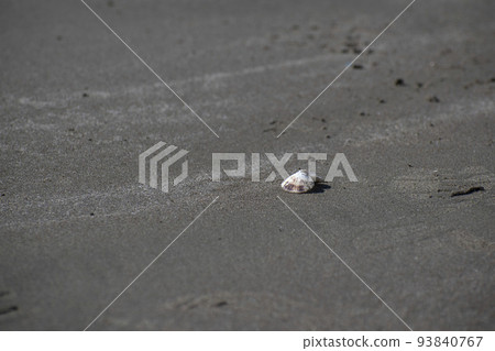 Beautiful seashells falling on the beach 93840767