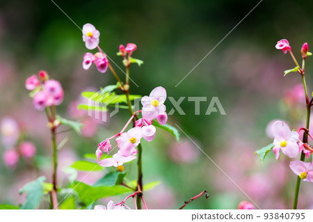 Shukaidou, Tokigawa Town, Saitama Prefecture Shukaidou, Tokigawa Town, Saitama Prefecture 93840795