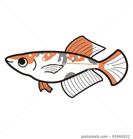 跛腳三色光鱂魚的插圖 93840852