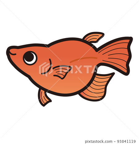 Illustration of Red Dharma Medaka 93841119