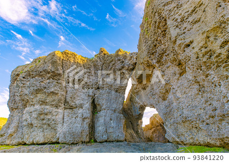 [德之島] 狗門蓋 93841220