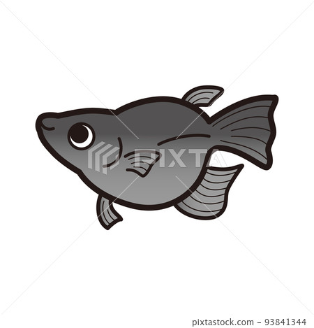 黑色達摩鱂魚的插圖 93841344