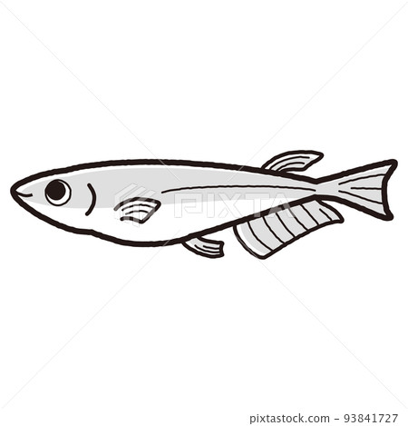 Simple medaka illustration (black and white) Simple medaka illustration (black and white) 93841727