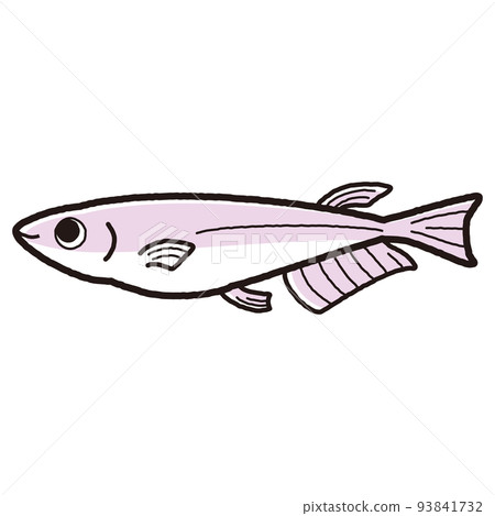 Illustration of simple medaka 93841732