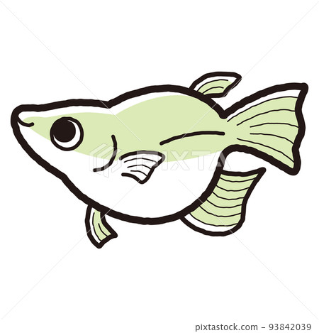 一個簡單的佛法鱂魚的插圖 93842039