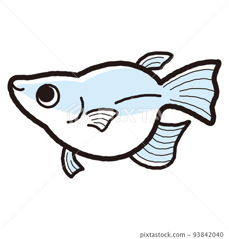 Illustration of a simple Dharma killifish Illustration of a simple Dharma killifish 93842040