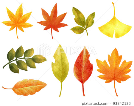 Autumn and winter fallen leaves colored pencil drawing set 93842123