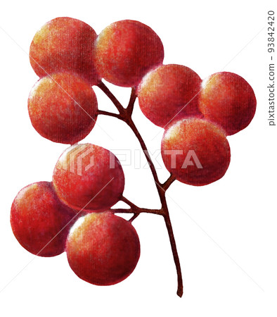 One point of colored pencil drawing of red nuts for decoration 93842420