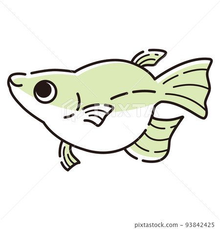 Illustration of a simple Dharma killifish Illustration of a simple Dharma killifish 93842425
