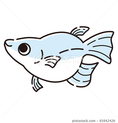 一個簡單的佛法鱂魚的插圖 一個簡單的佛法鱂魚的插圖 93842426