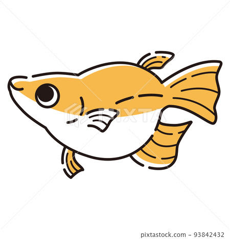 Illustration of a simple Dharma killifish Illustration of a simple Dharma killifish 93842432