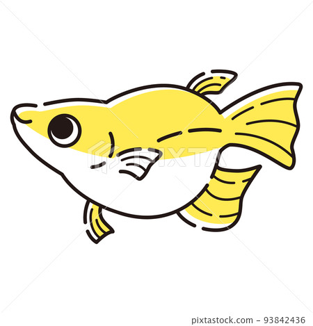 一個簡單的佛法鱂魚的插圖 一個簡單的佛法鱂魚的插圖 93842436