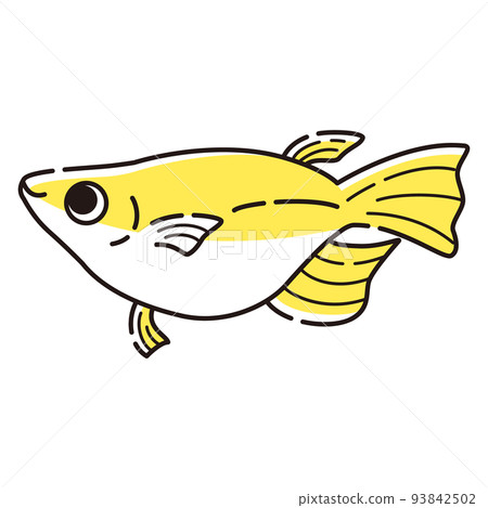 一個簡單的半達摩鱂的插圖 一個簡單的半達摩鱂的插圖 93842502