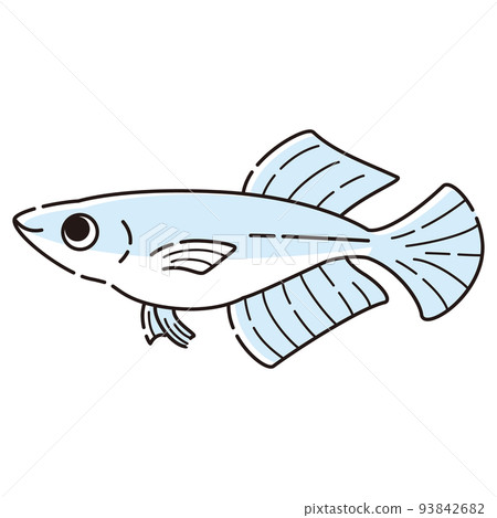 Illustration of a simple Hikari Medaka 93842682