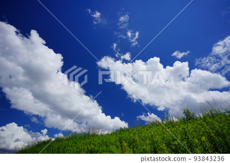 暑假和藍天 93843236