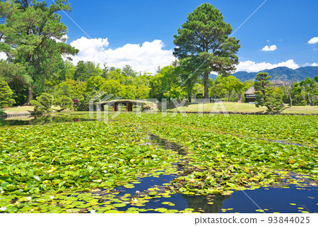 [Shurakuen (Former Tsuyama domain villa garden)] Yamakita, Tsuyama City, Okayama Prefecture 93844025