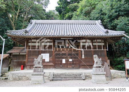 Worship hall of Morimoto Shrine, Habikino City, Osaka (late summer) 93844205