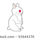 Rabbit  93844376