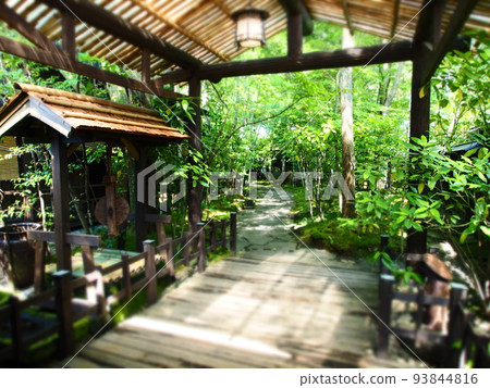 Japanese houses Japanese houses 93844816
