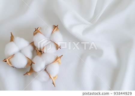 Cotton cotton 93844929