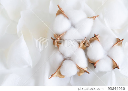 Cotton cotton Cotton cotton 93844930