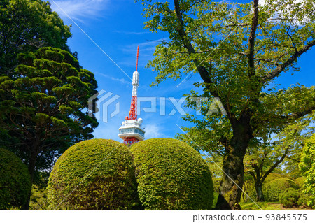 Utsunomiya Tower and blue sky 93845575