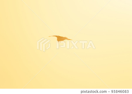 Silhouette of seagulls flying in the sky with orange sunset light. 93846083