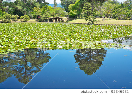 [Shurakuen（舊津山藩別墅花園）]岡山縣津山市山北 93846981
